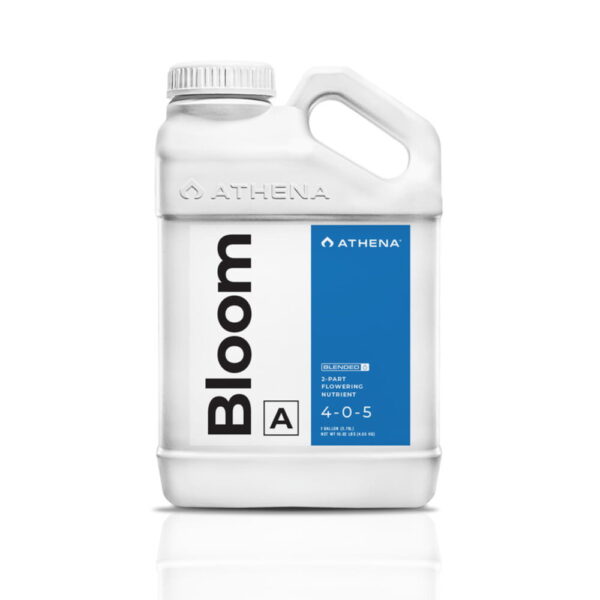 Bloom Blended Line - A