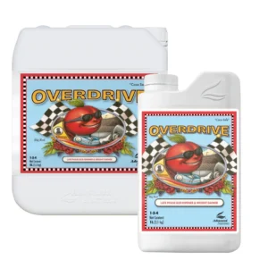 AN Overdrive