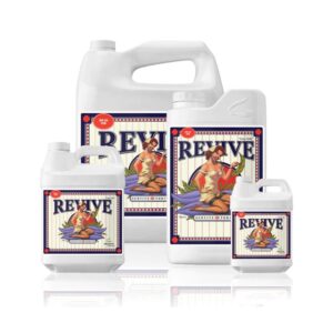 AN Revive
