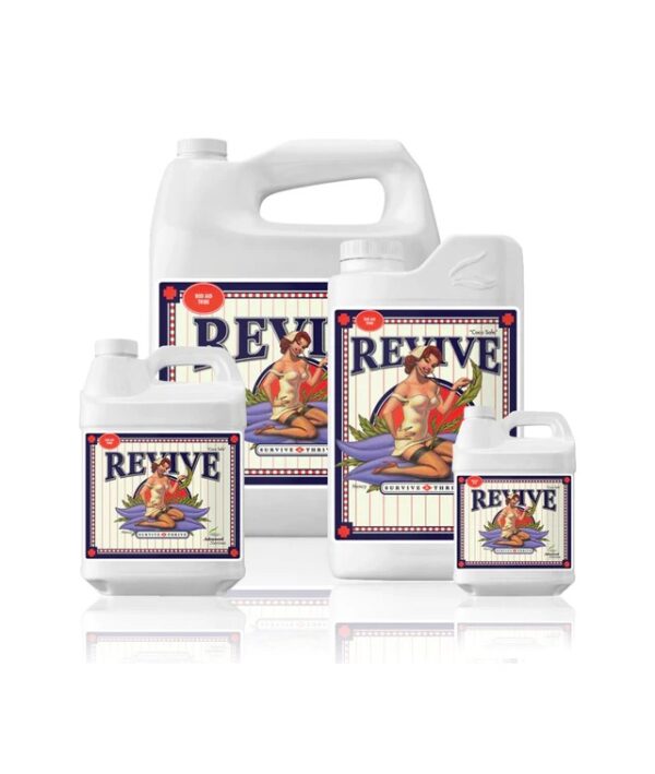 AN Revive