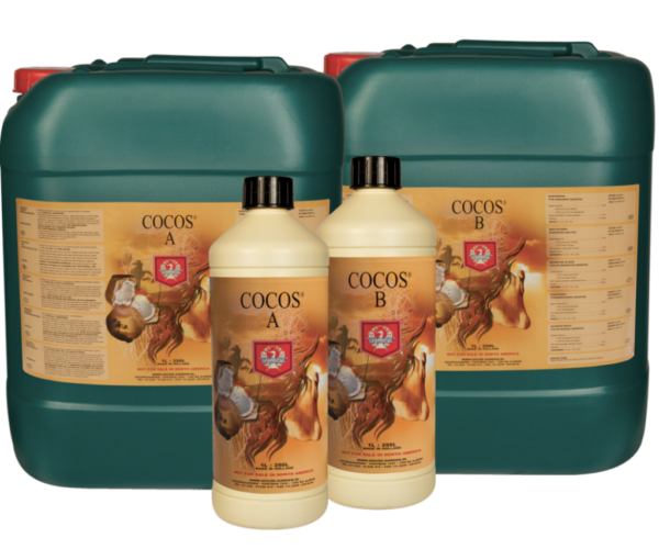 H&G – COCO A+B