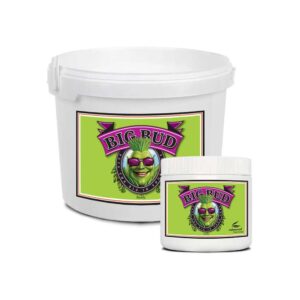 AN Big Bud Powder