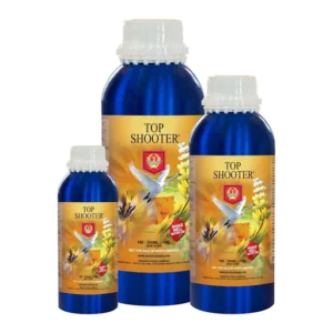 H&G – TOP SHOOTER