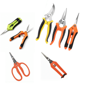 מספריים ומזמרות