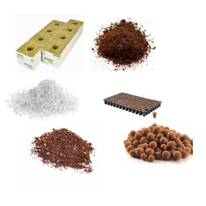 ייחורים ומצעי גידול